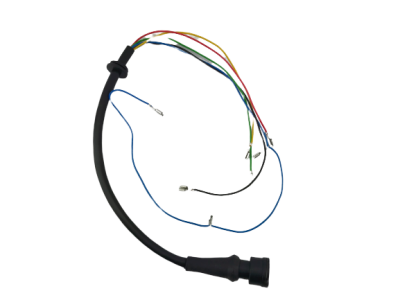 707.36 Жгут проводов МАЗ ЕВРО (АвтоСфера)